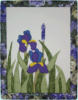 Iris violett (35x46 cm)