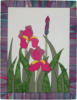 Iris pink (33x43 cm)
