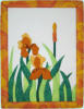 Iris gelb (35x46 cm)