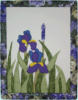 Iris violett (35x46 cm)