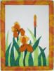 Iris gelb (36x46 cm)
