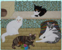 4 Katzen (50x40 cm)